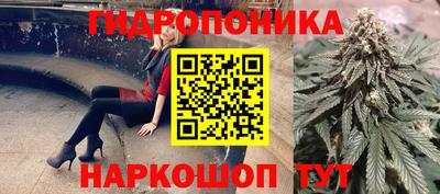 прущие грибы Апрелевка