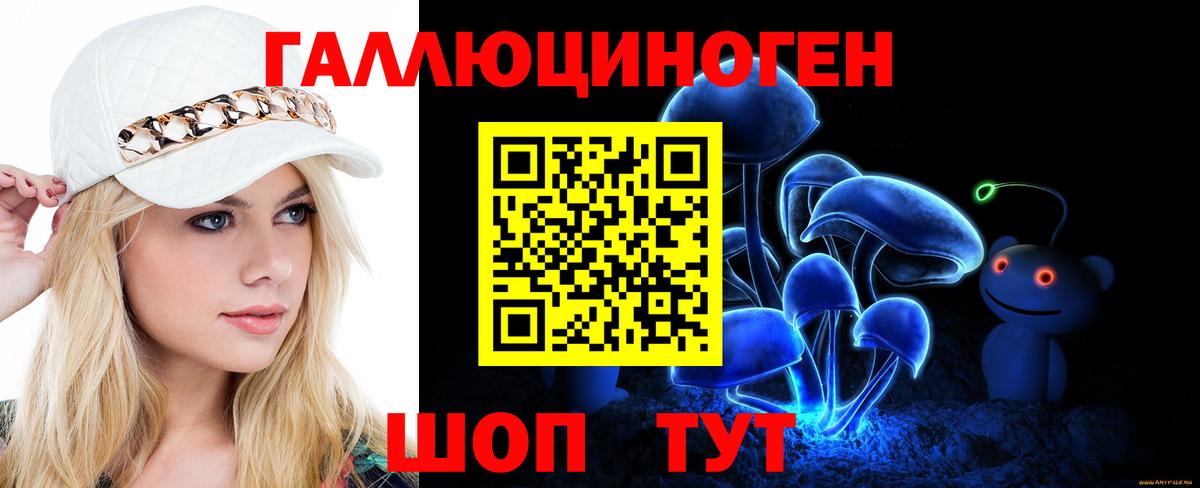 Псилоцибиновые грибы Psilocybe  Вход с VPN  Аргун 